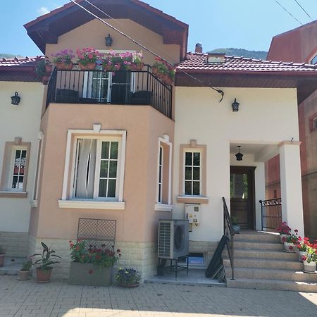 Vila Ana Băile Herculane Extérieur photo