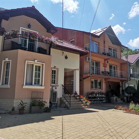 Vila Ana Băile Herculane Extérieur photo