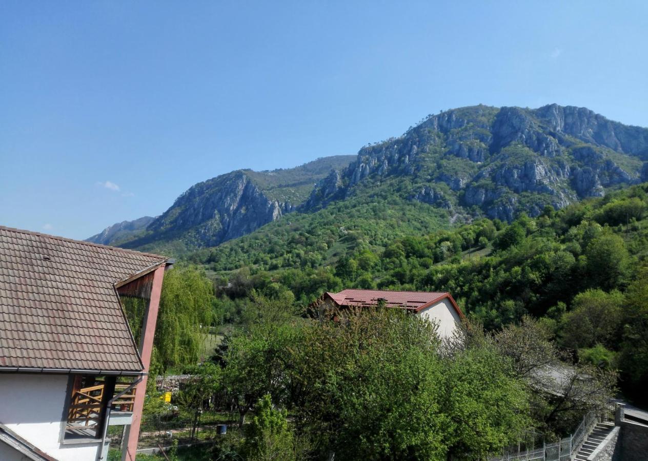 Vila Ana Băile Herculane Extérieur photo