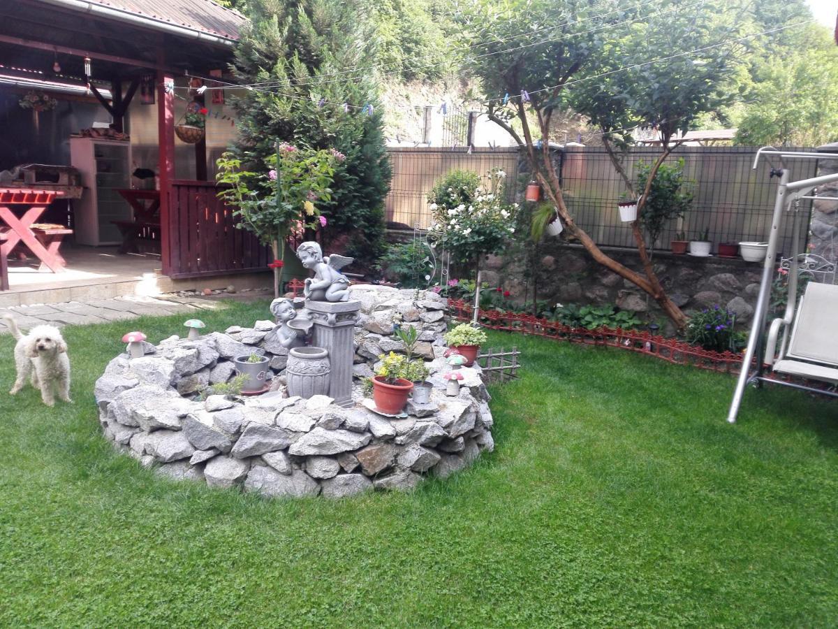 Vila Ana Băile Herculane Extérieur photo