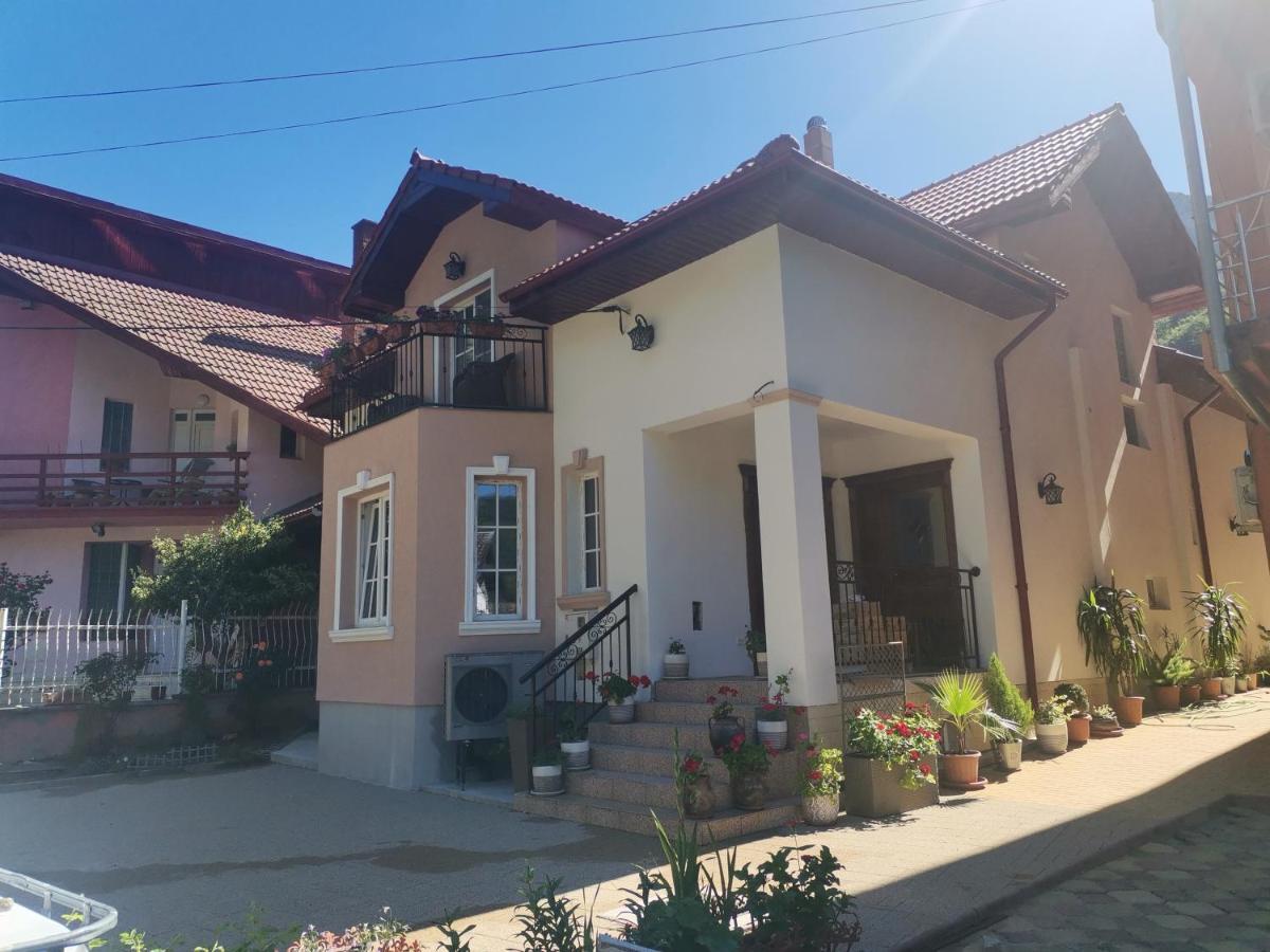 Vila Ana Băile Herculane Extérieur photo