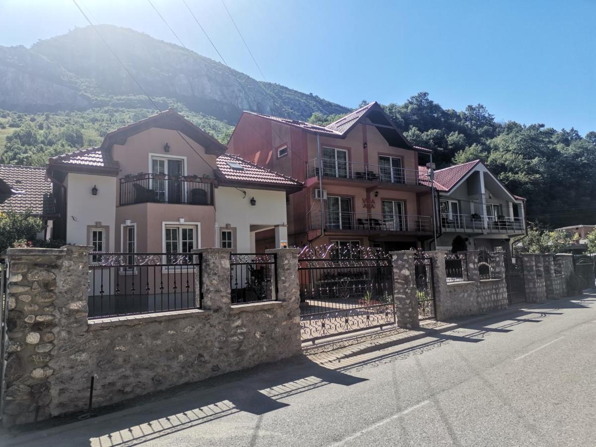 Vila Ana Băile Herculane Extérieur photo