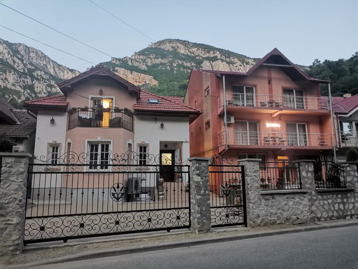 Vila Ana Băile Herculane Extérieur photo