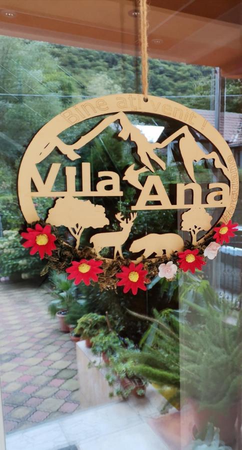 Vila Ana Băile Herculane Extérieur photo