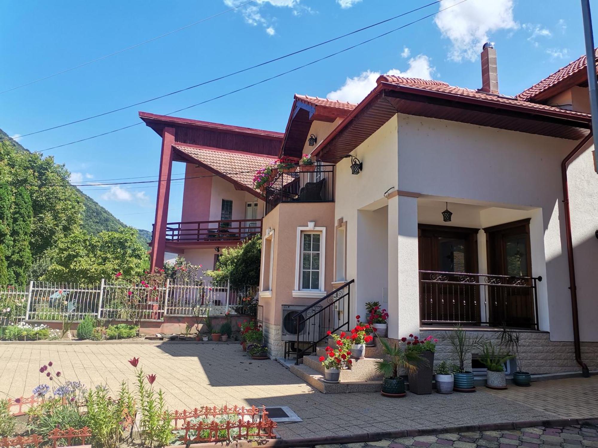 Vila Ana Băile Herculane Extérieur photo